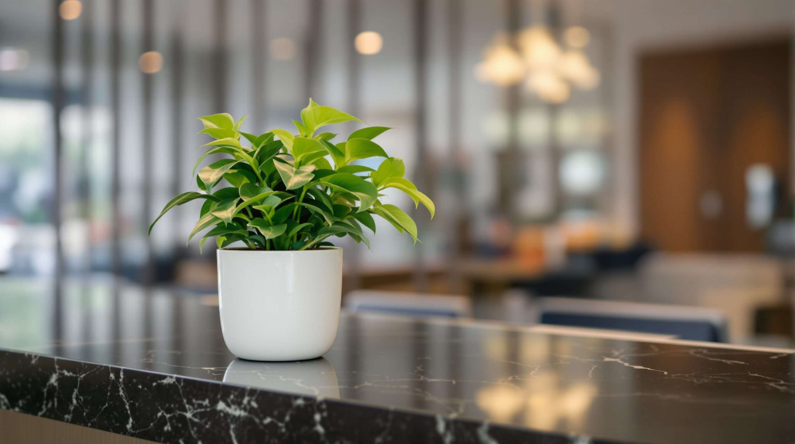 Latino Entrepreneurs Boost Sustainability in Hospitality